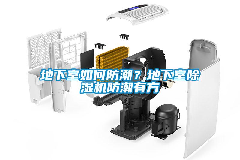 地下室如何防潮？地下室除濕機(jī)防潮有方