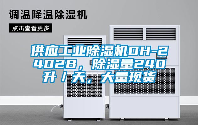 供應(yīng)工業(yè)除濕機(jī)DH-2402B，除濕量240升／天，大量現(xiàn)貨