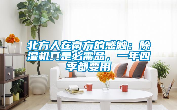 北方人在南方的感觸：除濕機真是必需品，一年四季都要用