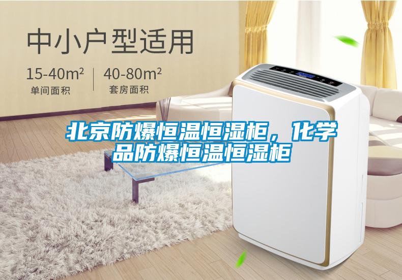 北京防爆恒溫恒濕柜，化學(xué)品防爆恒溫恒濕柜