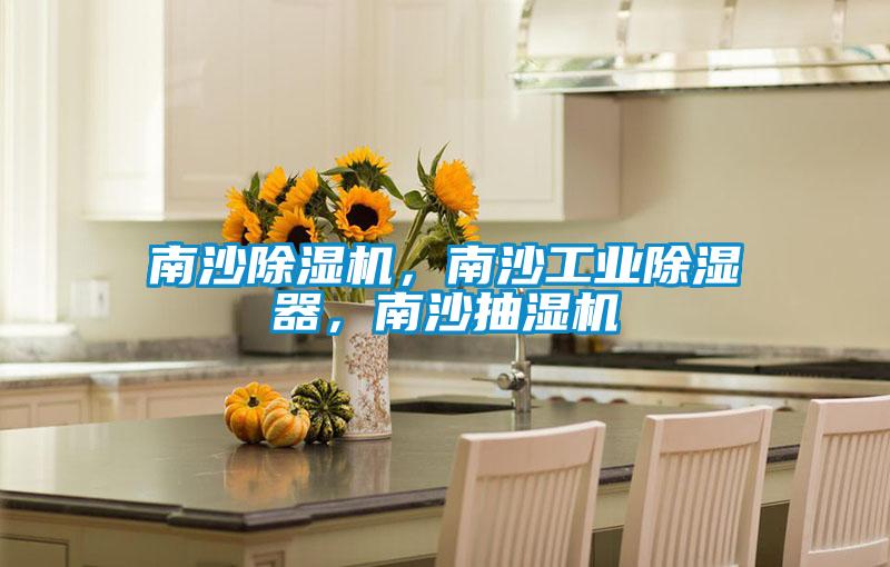 南沙除濕機(jī)，南沙工業(yè)除濕器，南沙抽濕機(jī)