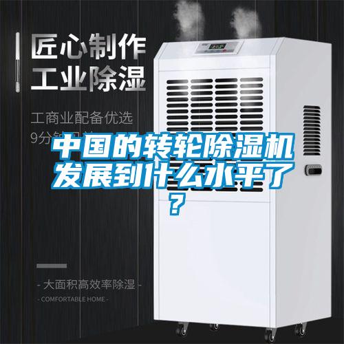 中國的轉(zhuǎn)輪除濕機(jī)發(fā)展到什么水平了？