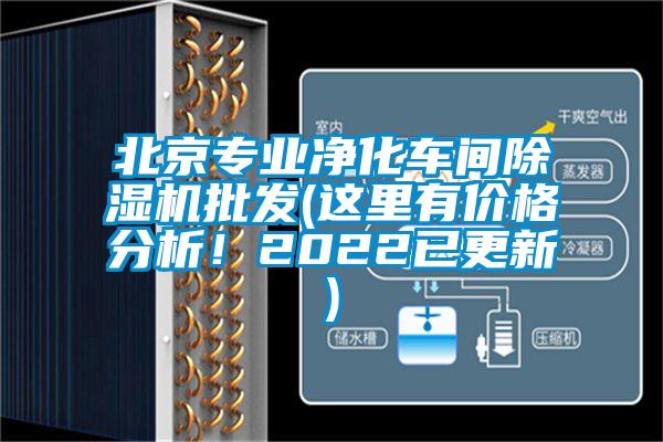 北京專(zhuān)業(yè)凈化車(chē)間除濕機(jī)批發(fā)(這里有價(jià)格分析！2022已更新)