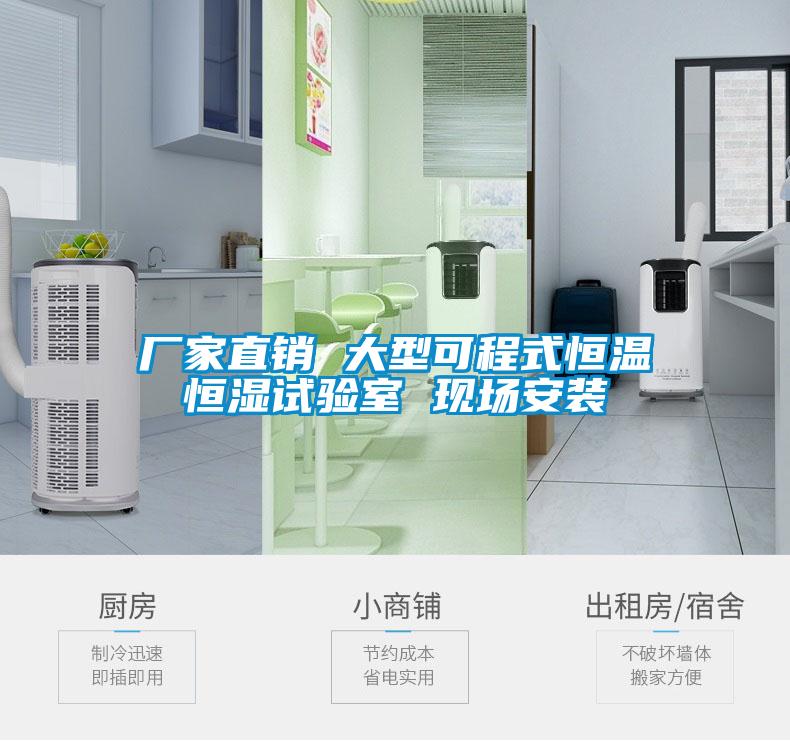 廠家直銷 大型可程式恒溫恒濕試驗(yàn)室 現(xiàn)場(chǎng)安裝