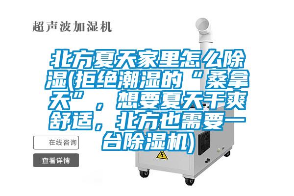 北方夏天家里怎么除濕(拒絕潮濕的“桑拿天”，想要夏天干爽舒適，北方也需要一臺除濕機)