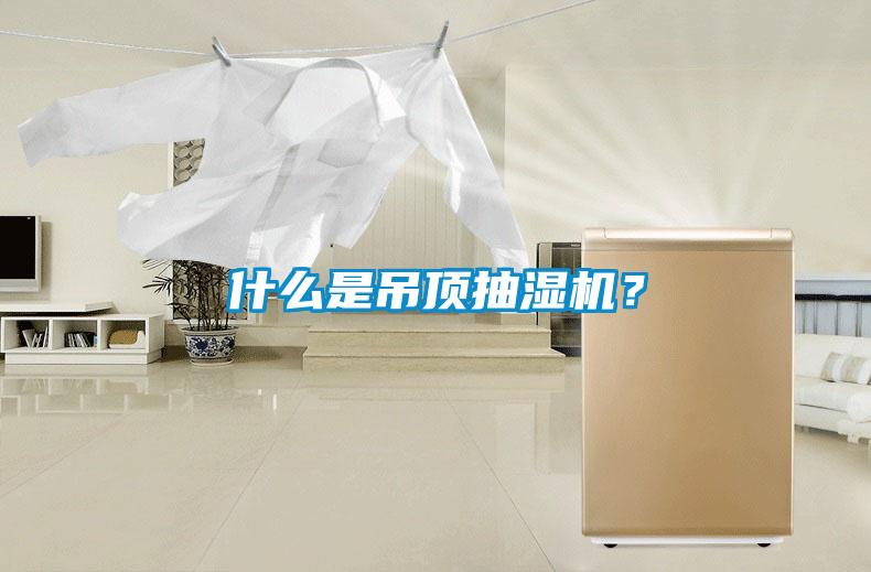 什么是吊頂抽濕機(jī)？