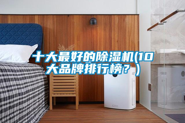 十大最好的除濕機(jī)(10大品牌排行榜？)