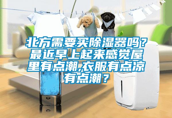 北方需要買除濕器嗎？最近早上起來感覺屋里有點(diǎn)潮,衣服有點(diǎn)涼有點(diǎn)潮？