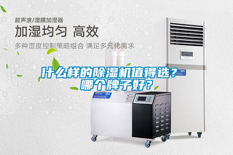 什么樣的除濕機值得選？ 哪個牌子好？