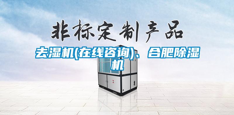 去濕機(在線咨詢)、合肥除濕機