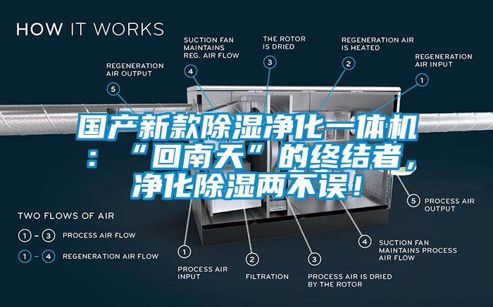 國產(chǎn)新款除濕凈化一體機：“回南天”的終結(jié)者，凈化除濕兩不誤！