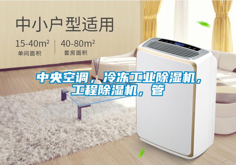 中央空調(diào)，冷凍工業(yè)除濕機(jī)，工程除濕機(jī)，管