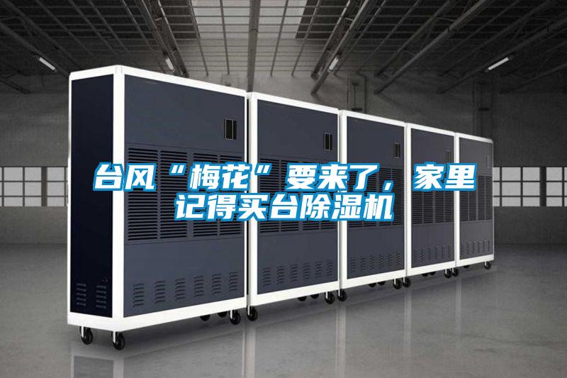 臺風(fēng)“梅花”要來了，家里記得買臺除濕機