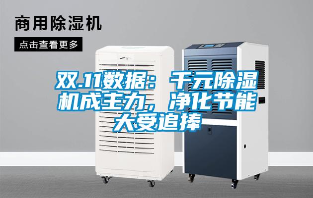 雙.11數(shù)據(jù)：千元除濕機(jī)成主力，凈化節(jié)能大受追捧