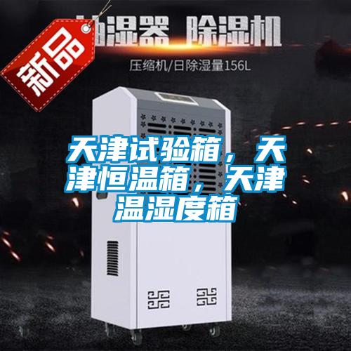 天津試驗箱，天津恒溫箱，天津溫濕度箱