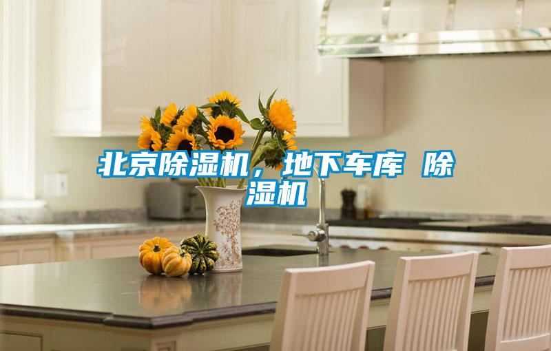 北京除濕機(jī)，地下車庫(kù) 除濕機(jī)