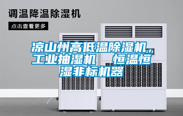 涼山州高低溫除濕機(jī)，工業(yè)抽濕機(jī)  恒溫恒濕非標(biāo)機(jī)器