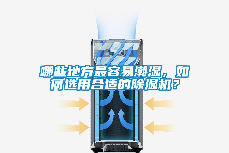 哪些地方最容易潮濕，如何選用合適的除濕機(jī)？