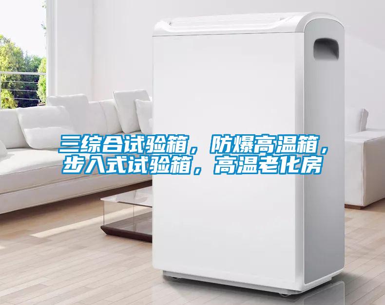 三綜合試驗(yàn)箱，防爆高溫箱，步入式試驗(yàn)箱，高溫老化房