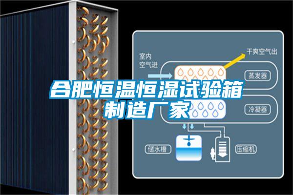 合肥恒溫恒濕試驗(yàn)箱制造廠(chǎng)家