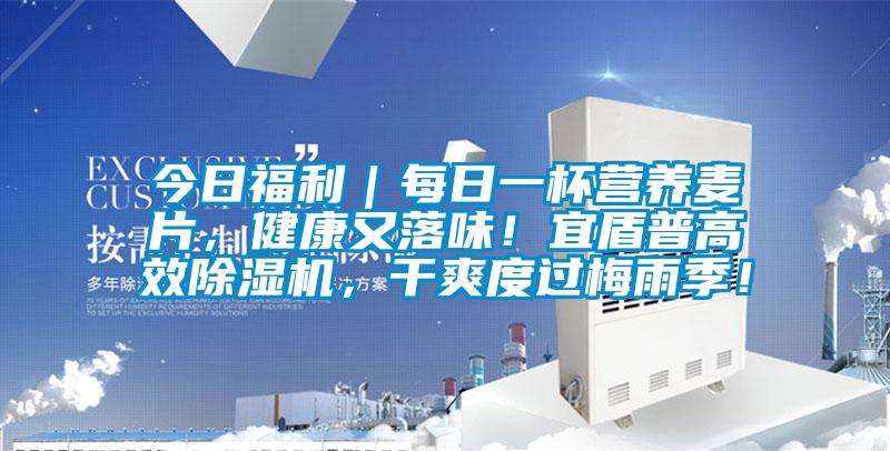 今日福利｜每日一杯營養(yǎng)麥片，健康又落味！宜盾普高效除濕機(jī)，干爽度過梅雨季！