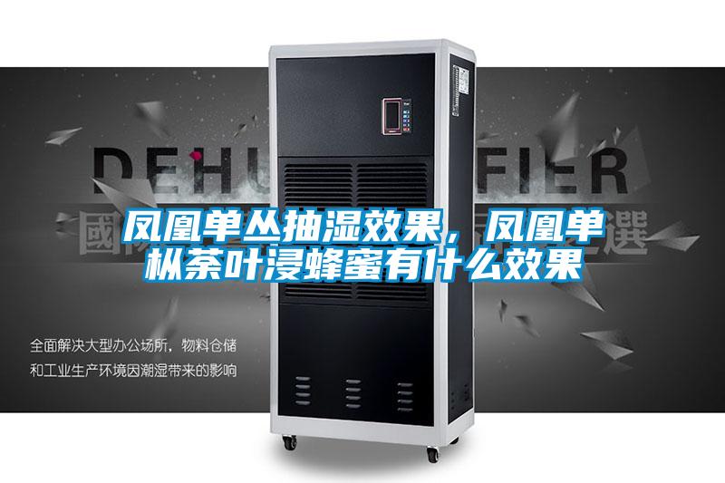 鳳凰單叢抽濕效果，鳳凰單樅荼葉浸蜂蜜有什么效果