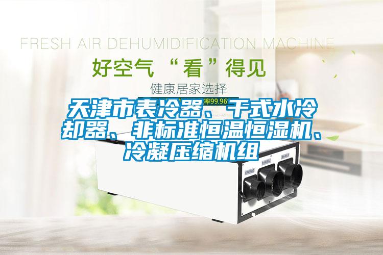 天津市表冷器、干式水冷卻器、非標(biāo)準(zhǔn)恒溫恒濕機(jī)、冷凝壓縮機(jī)組