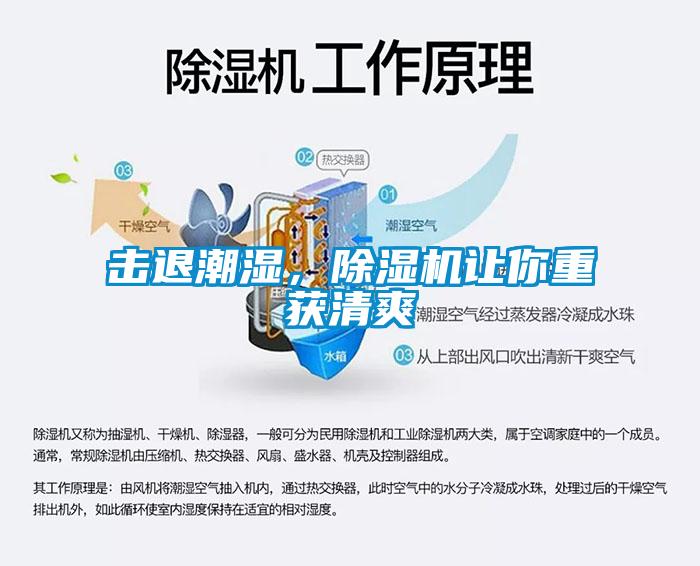 擊退潮濕，除濕機(jī)讓你重獲清爽