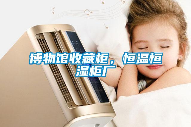 博物館收藏柜，恒溫恒濕柜廠