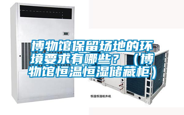 博物館保留場(chǎng)地的環(huán)境要求有哪些？（博物館恒溫恒濕儲(chǔ)藏柜）