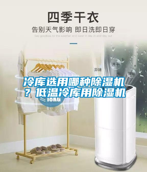 冷庫(kù)選用哪種除濕機(jī)？低溫冷庫(kù)用除濕機(jī)
