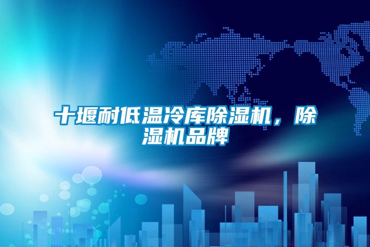 十堰耐低溫冷庫除濕機(jī)，除濕機(jī)品牌