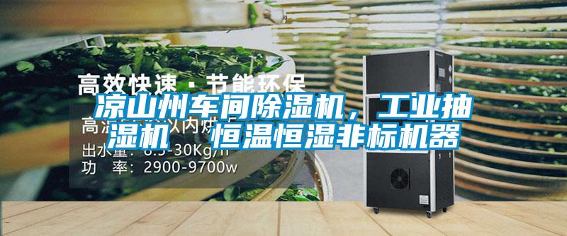 涼山州車間除濕機，工業(yè)抽濕機  恒溫恒濕非標機器