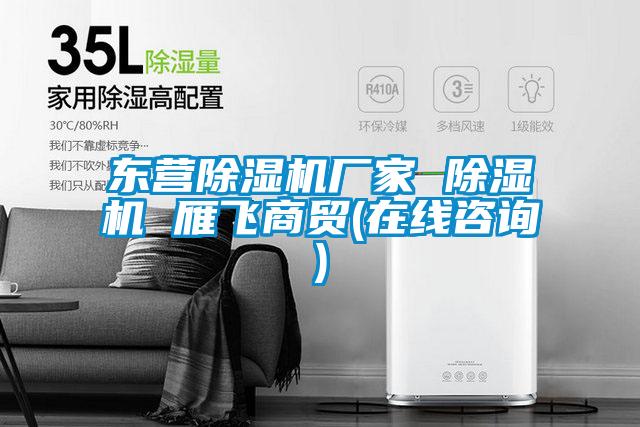東營(yíng)除濕機(jī)廠家 除濕機(jī) 雁飛商貿(mào)(在線咨詢)