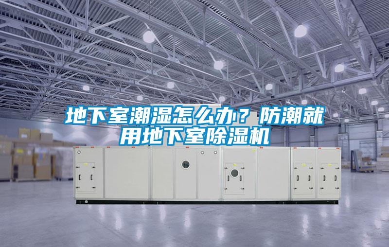 地下室潮濕怎么辦？防潮就用地下室除濕機(jī)