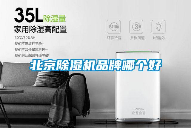 北京除濕機(jī)品牌哪個好