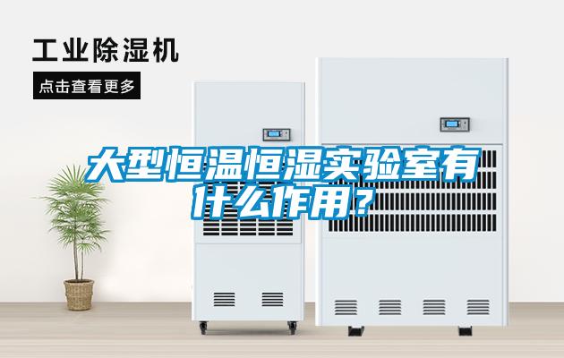 大型恒溫恒濕實(shí)驗(yàn)室有什么作用？