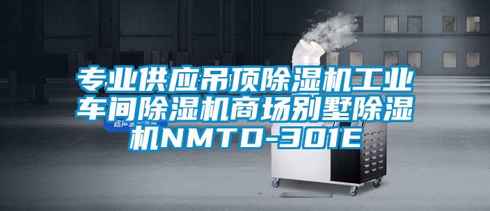 專業(yè)供應(yīng)吊頂除濕機(jī)工業(yè)車間除濕機(jī)商場(chǎng)別墅除濕機(jī)NMTD-301E