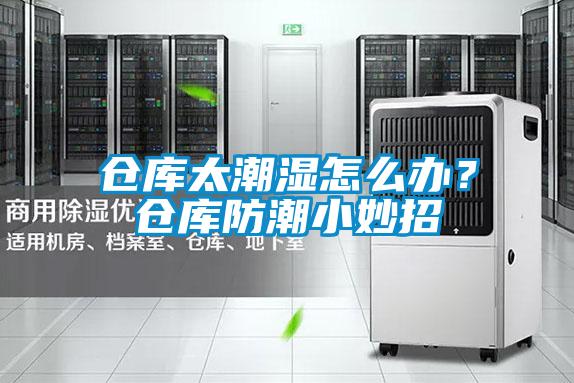 倉庫太潮濕怎么辦？倉庫防潮小妙招