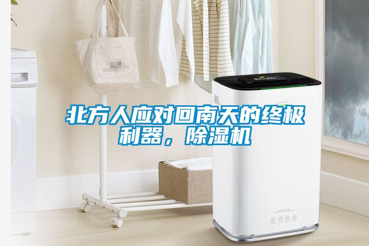 北方人應(yīng)對(duì)回南天的終極利器，除濕機(jī)