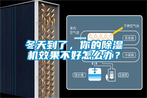 冬天到了，你的除濕機效果不好怎么辦？