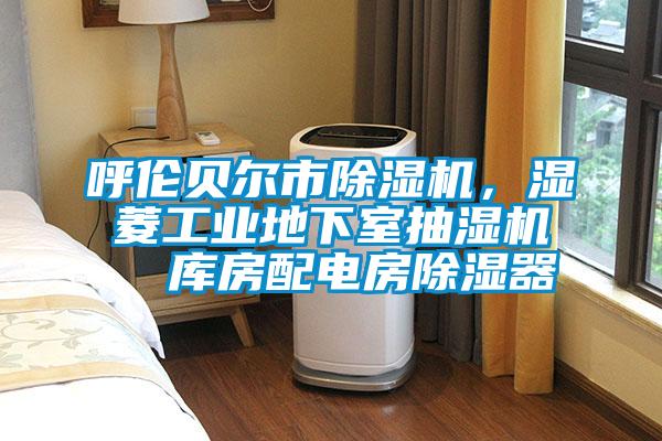 呼倫貝爾市除濕機(jī)，濕菱工業(yè)地下室抽濕機(jī)  庫(kù)房配電房除濕器