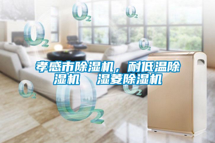 孝感市除濕機，耐低溫除濕機  濕菱除濕機