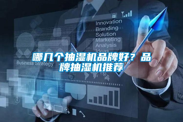 哪幾個抽濕機品牌好？品牌抽濕機推薦