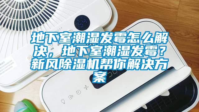 地下室潮濕發(fā)霉怎么解決，地下室潮濕發(fā)霉？新風除濕機幫你解決方案