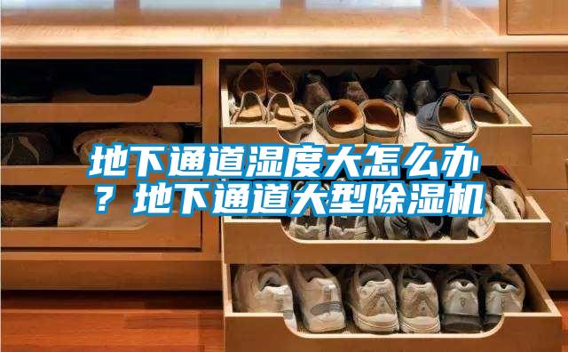 地下通道濕度大怎么辦？地下通道大型除濕機(jī)
