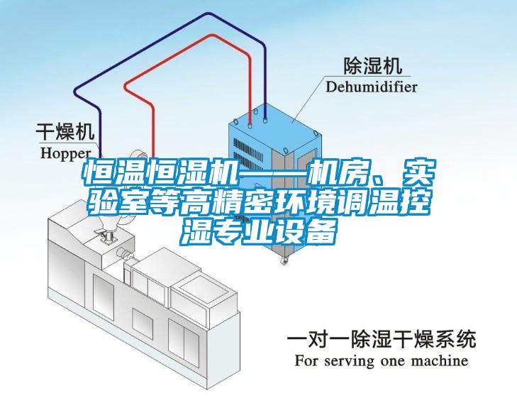 恒溫恒濕機(jī)——機(jī)房、實驗室等高精密環(huán)境調(diào)溫控濕專業(yè)設(shè)備