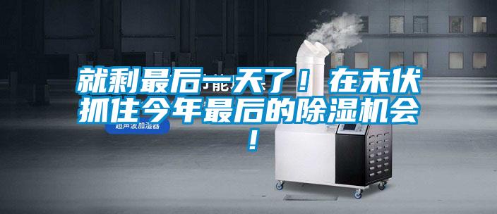 就剩最后一天了！在末伏抓住今年最后的除濕機(jī)會！
