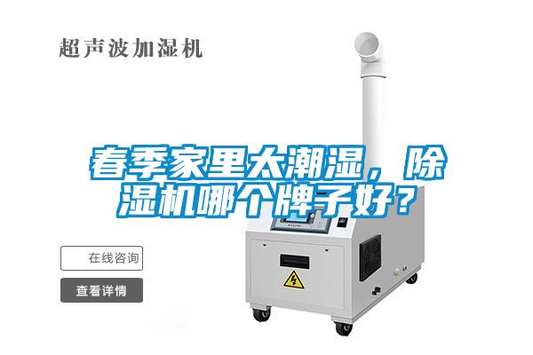 春季家里太潮濕，除濕機(jī)哪個牌子好？