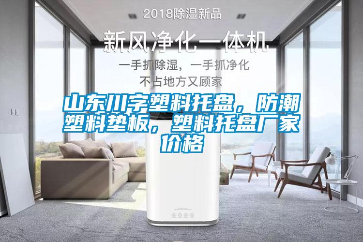 山東川字塑料托盤(pán)，防潮塑料墊板，塑料托盤(pán)廠家價(jià)格